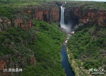 澳大利亚卡卡杜国家公园-原始森林照片