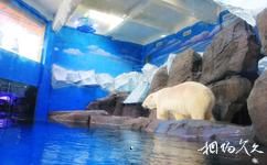 武汉海昌极地海洋世界旅游攻略之极地动物展示区