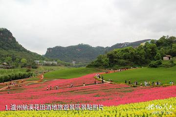 瀘州納溪花田酒地旅遊景區照片