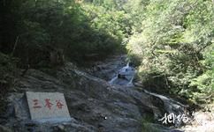 慶元縣百山祖國家級自然公園旅遊攻略之三峰谷