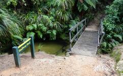 紐西蘭阿貝爾·塔斯曼國家公園旅遊攻略之中途池