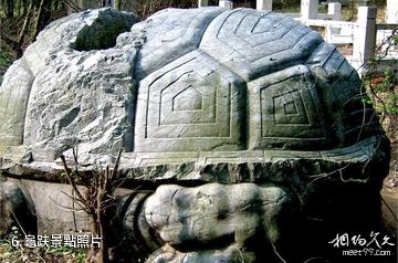 蘇州韓世忠墓-龜趺照片