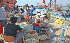 天津北塘特色旅游攻略之渔港