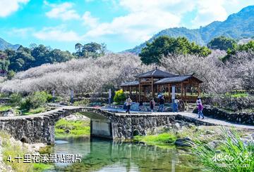 陸河螺洞世外梅園旅遊區-十里花溪照片