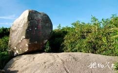 文昌銅鼓嶺自然保護區旅遊攻略之風動石
