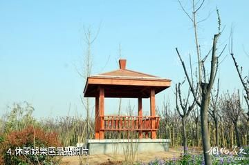 西安航天城中湖公園-休閑娛樂區照片