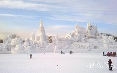 哈尔滨太阳岛国际雪雕艺术博览会旅游攻略之雪雕艺术博览会