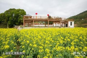 大埔坪山梯田旅遊區-油菜花照片