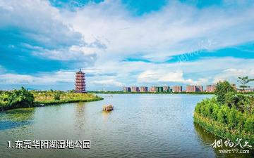 东莞华阳湖湿地公园照片