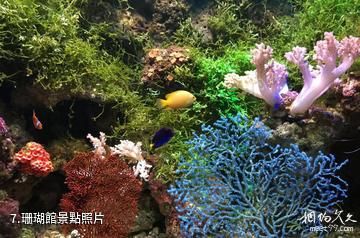 杭州極地海洋公園-珊瑚館照片