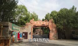 和田无花果王景区驴友相册
