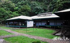 马来西亚姆禄国家公园旅游攻略之营地