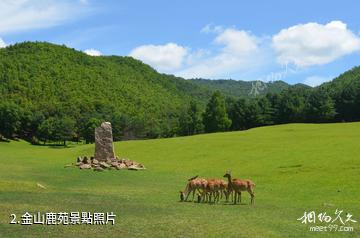 伊春大豐河漂流-金山鹿苑照片