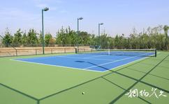 北京海淀公園旅遊攻略之海淀公園體育中心