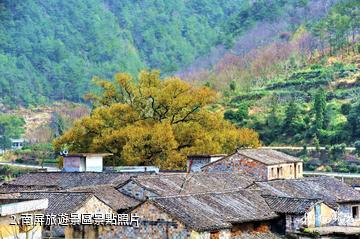 天台南屏旅遊景區-南屏旅遊景區照片