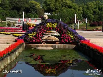 无锡市太湖花卉园-花卉基地照片