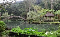 台灣溪頭森林公園（溪頭自然教育園區）旅遊攻略之大學池
