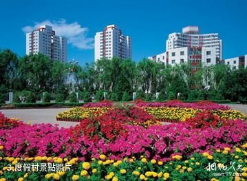 鄂爾多斯市綠洲賓館旅遊區-度假村照片