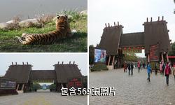 上海野生動物園驢友相冊