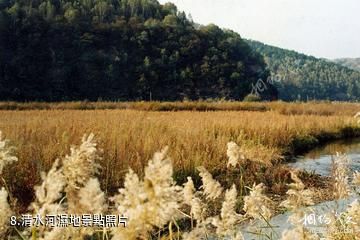 延安子午嶺國家級自然保護區-清水河濕地照片