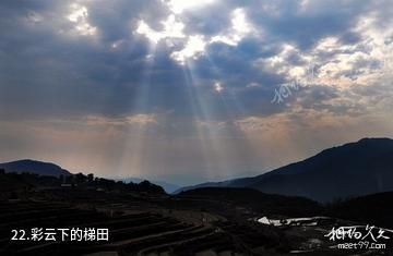 沧源翁丁佤族村寨-彩云下的梯田照片