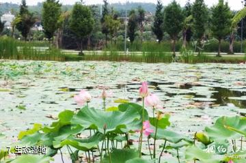 红河弥勒湖泉生态园-生态湿地照片