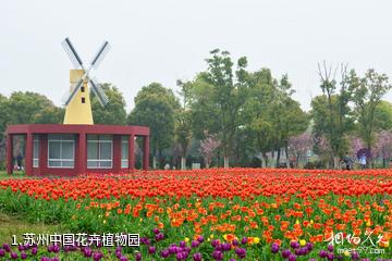 苏州中国花卉植物园照片