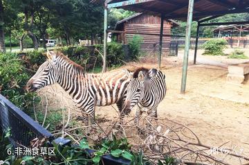 无锡动物园太湖欢乐园-非洲食草区照片