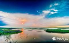 天津古海岸與濕地國家級自然保護區旅遊攻略之保護區