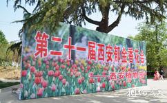 西安植物园旅游攻略之花卉节
