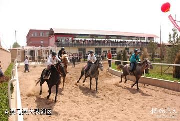 晋中榆次明乐庄园-赛马赛犬表演区照片