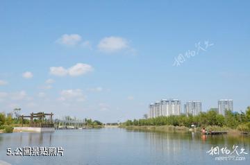 贛榆和安湖濕地公園-公園照片