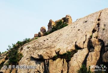 海陽招虎山國家森林公園-卧牛尋食照片