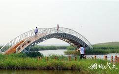 寿光洰淀湖旅游攻略之踏浪桥