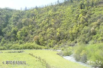 四川王朗國家級自然保護區-草場照片