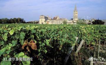 法国波尔多-波尔多葡萄酒庄照片
