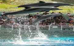 深圳野生動物園旅遊攻略之海洋天地