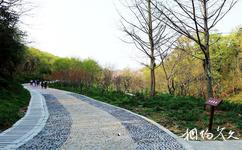 湖北峴山國家森林公園旅遊攻略之環山綠道