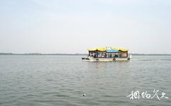 河北衡水湖國家級自然保護區旅遊攻略之觀光船