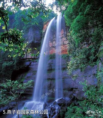 赤水风景区-燕子岩国家森林公园照片