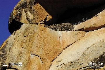赤峰召庙-千年鸟巢照片