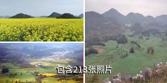 罗平油菜花海驴友相册