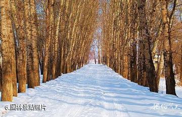 五常月牙湖風景區-園林照片