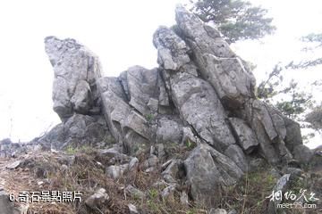 安徽萬佛山國家森林公園-奇石照片