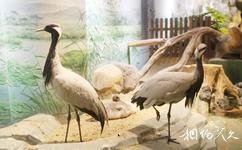 南通森林野生動物園旅遊攻略之百獸秘境