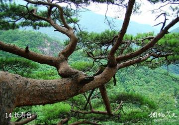 五女峰国家级森林公园-长寿台照片