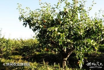 凤城大梨树生态旅游区-休闲农业体验区照片