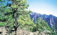 寧夏蘇峪口國家森林公園旅遊攻略之青松嶺
