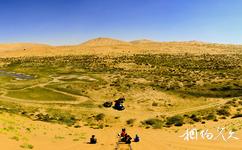 阿拉善盟巴丹吉林沙漠旅遊攻略之沙漠綠洲