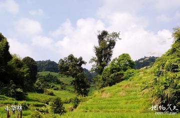 高安华林寨上游湖风景区-华林照片